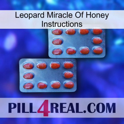 Leopard Miracle Of Honey Instructions 05